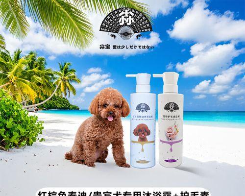 贵宾洗澡频率全攻略(图2) 贵宾洗澡频率全攻略(图2)
