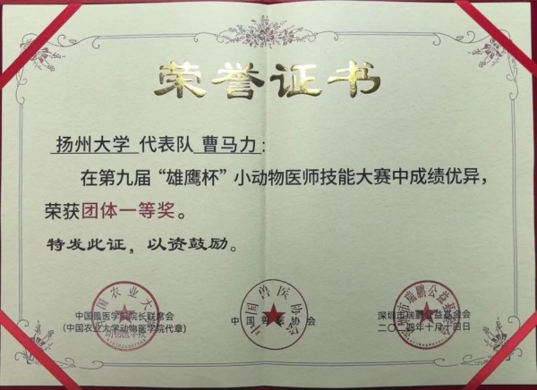 赛学双优‼️这个团队全员保研(图8)