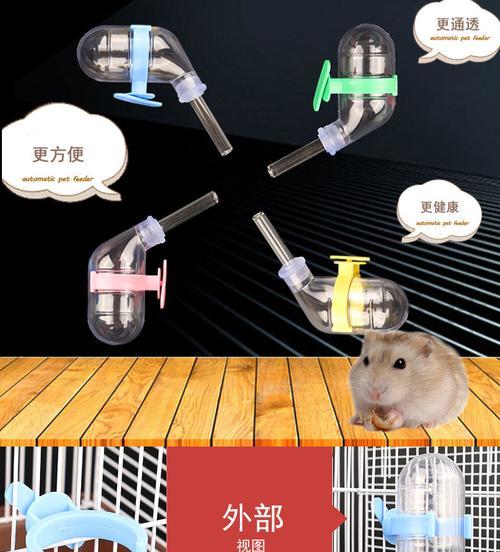 仓鼠水分需求及脱水判断方法全攻略(图4) 仓鼠水分需求及脱水判断方法全攻略(图4)