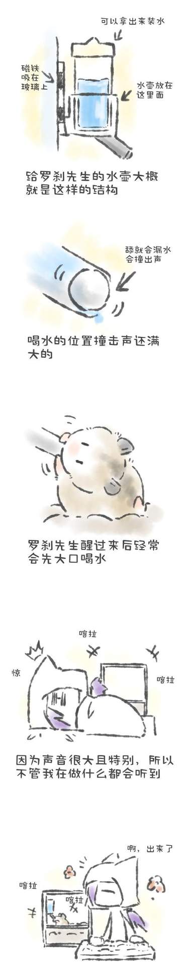 仓鼠水分需求及脱水判断方法全攻略(图2) 仓鼠水分需求及脱水判断方法全攻略(图2)