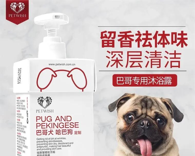 夏天巴哥犬洗澡频率全攻略(图2)