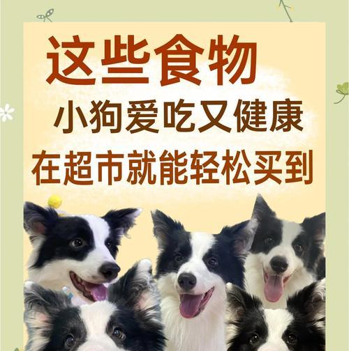 狗狗补钙食物全攻略(图2) 狗狗补钙食物全攻略(图2)