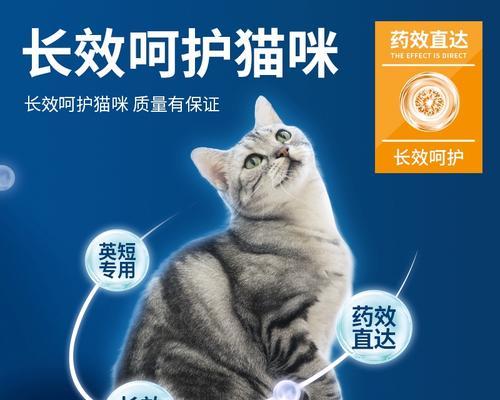 美短驱虫频率解析全攻略(图2) 美短驱虫频率解析全攻略(图2)