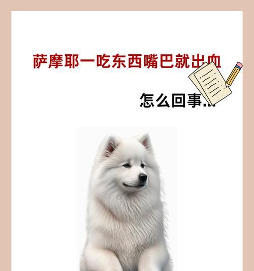 萨摩耶狗粮泡浸时间指南|科学喂养全解析(图2) 萨摩耶狗粮泡浸时间指南|科学喂养全解析(图2)