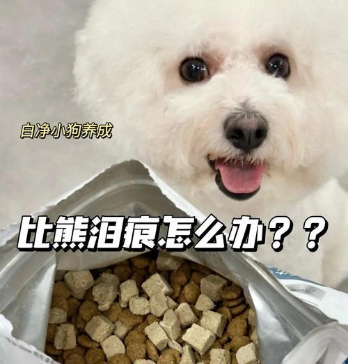 萨摩耶狗粮泡浸时间指南|科学喂养全解析(图4) 萨摩耶狗粮泡浸时间指南|科学喂养全解析(图4)