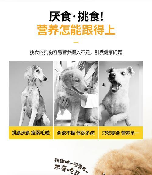 萨摩耶狗粮泡浸时间指南｜科学喂养全解析
