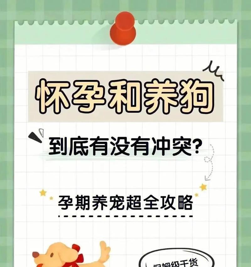 狗的怀孕周期与生产时间|新手养狗全攻略(图2) 狗的怀孕周期与生产时间|新手养狗全攻略(图2)