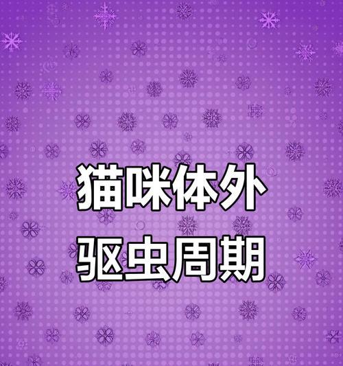 猫驱虫周期与注意事项｜科学养护全攻略(图1)