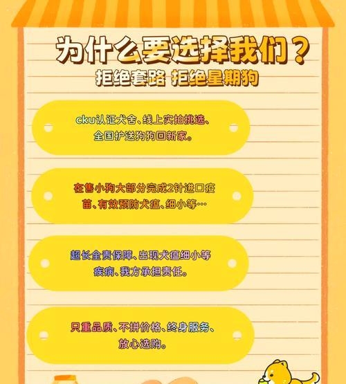 星期狗特征与选购指南｜全面解析饲养要点(图3)