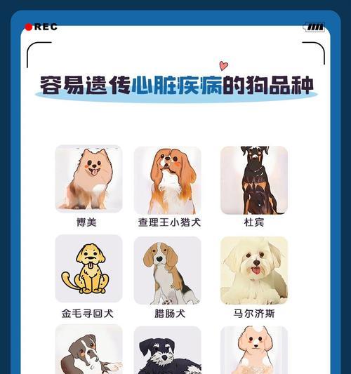 狗得了心脏病能活多久全攻略(图3)