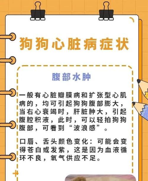 幼犬生病表现全攻略(图1)