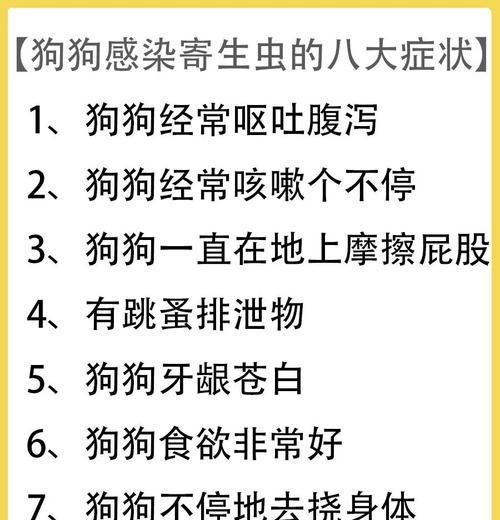 狗狗体外驱虫的重要性与方法全攻略