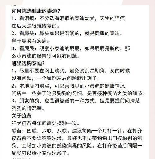 秋季饲养泰迪注意事项全攻略(图1)