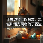 丁香边牧全攻略：智慧忠诚活力工作犬实用指南