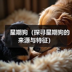 星期狗来源特征全攻略