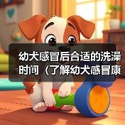 幼犬感冒后洗澡时间全攻略