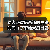 幼犬感冒后洗澡时间全攻略(图4)