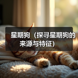 星期狗(探寻星期狗的来源与特征)(图4) 星期狗来源特征全攻略(图4)