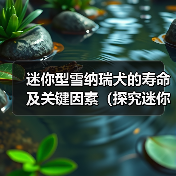 迷你型雪纳瑞犬寿命及关键因素全攻略