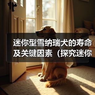 迷你型雪纳瑞犬的寿命及关键因素(探究迷你型雪纳瑞犬的预期寿命和影响因素)(图3) 迷你型雪纳瑞犬寿命及关键因素全攻略(图3)