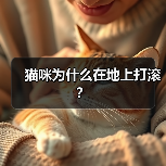 猫咪为什么在地上打滚?(图4) 猫咪为什么在地上打滚全攻略(图4)