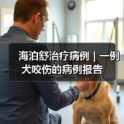 海泊舒治疗病例 | 一例犬咬伤的病例报告(图2) 犬咬伤保守治疗全攻略(图2)