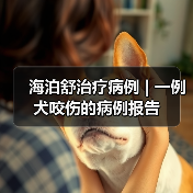 海泊舒治疗病例 | 一例犬咬伤的病例报告(图4) 犬咬伤保守治疗全攻略(图4)