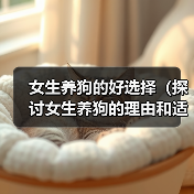 女生养狗好选择｜实用指南