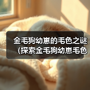 金毛狗幼崽毛色变化全攻略