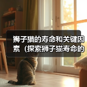狮子猫的寿命和关键因素(探索狮子猫寿命的长短及其影响因素)(图2) 狮子猫寿命影响因素全解析|科学养猫指南(图2)