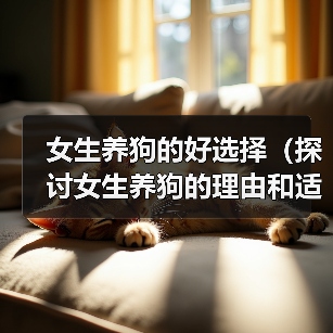 女生养狗的好选择(探讨女生养狗的理由和适合女生的狗种)(图3) 女生养狗好选择|实用指南(图3)