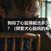狗得了心脏病能活多久?(探索犬心脏病的寿命和管理方法)(图3) 狗得了心脏病能活多久全攻略(图3)