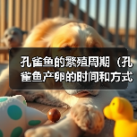 孔雀鱼繁殖周期全攻略｜产卵时间与方式详解(图2)