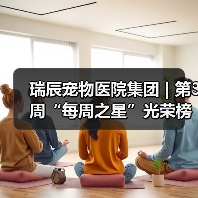 瑞辰宠物医院集团 | 第3周“每周之星”光荣榜(图3) 瑞辰每周之星光荣榜:榜样力量引领行业(图3)