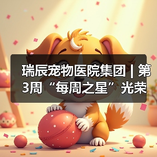 瑞辰每周之星光荣榜：榜样力量引领行业