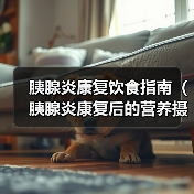 胰腺炎康复饮食全攻略(图3)