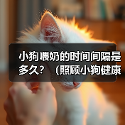 小狗喂奶的时间间隔是多久?(照顾小狗健康成长的关键)(图4) 小狗喂奶时间间隔全攻略(图4)