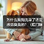 为什么狗狗洗澡了还是感觉臭臭的?(肛门腺问题可能是原因)(图3) 狗狗洗澡后仍臭?肛门腺问题全攻略(图3)