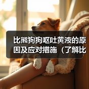 比熊狗狗呕吐黄液原因及应对措施全攻略