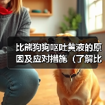 比熊狗狗呕吐黄液的原因及应对措施(了解比熊狗狗呕吐黄液的原因和如何应对,让你的宠物健康无忧)(图3) 比熊狗狗呕吐黄液原因及应对措施全攻略(图3)