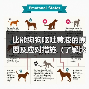 比熊狗狗呕吐黄液的原因及应对措施(了解比熊狗狗呕吐黄液的原因和如何应对,让你的宠物健康无忧)(图2) 比熊狗狗呕吐黄液原因及应对措施全攻略(图2)