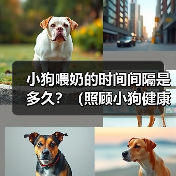 小狗喂奶的时间间隔是多久?(照顾小狗健康成长的关键)(图2) 小狗喂奶时间间隔全攻略(图2)