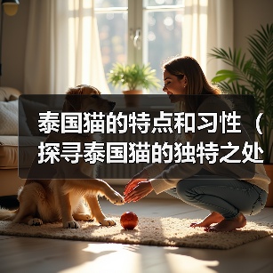 泰国猫特点习性全攻略