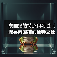 泰国猫的特点和习性(探寻泰国猫的独特之处)(图4) 泰国猫特点习性全攻略(图4)