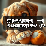 犬跳蚤叮咬性皮炎诊疗全攻略