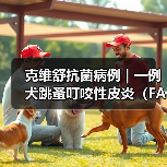 克维舒抗菌病例 | 一例犬跳蚤叮咬性皮炎(FAD)的病例分析(图3) 犬跳蚤叮咬性皮炎诊疗全攻略(图3)