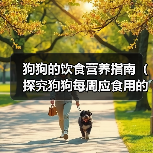 狗狗饮食营养指南全攻略