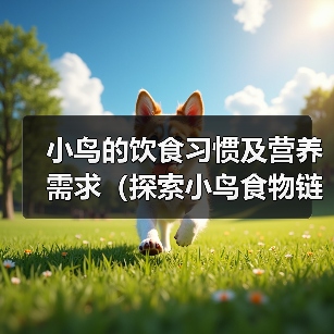 小鸟的饮食习惯及营养需求(探索小鸟食物链的奥秘)(图2) 小鸟的饮食习惯及营养需求全攻略(图2)
