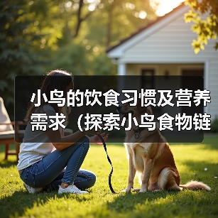 小鸟的饮食习惯及营养需求(探索小鸟食物链的奥秘)(图4) 小鸟的饮食习惯及营养需求全攻略(图4)