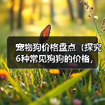 宠物狗价格盘点(探究6种常见狗狗的价格,让你明智选择)(图2) 宠物狗价格盘点|明智选择实用指南(图2)